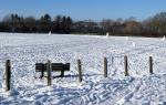 Image: Snowmen in field